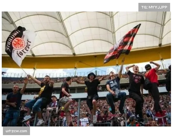 德国足协就海登海姆球迷冲入场事件展开调查，俱乐部或遭处罚。